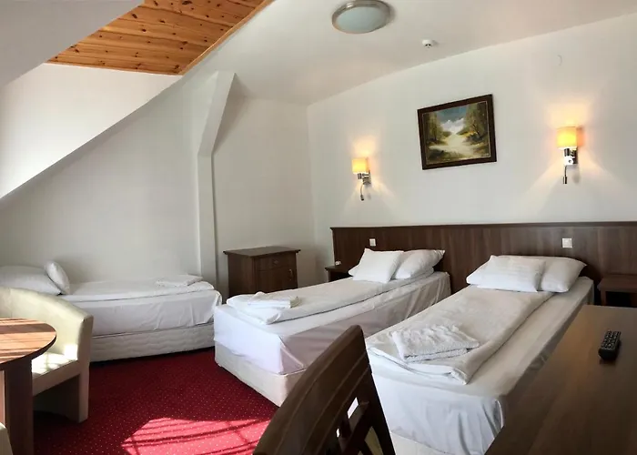 Meggyes Hotell 3*